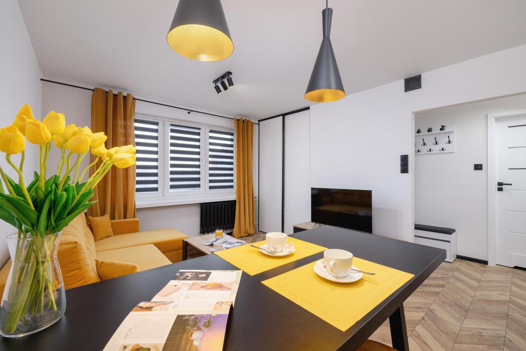 Center One-bedroom With Bathtub By Renters Apartment Rzeszow